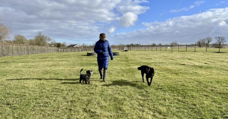 2206 963197263cdf6bcf47e3a5addced2726 1 768x401