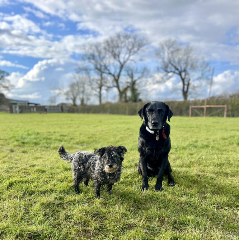 2206 f2735bd554118799012214410cb4aee0 1 768x773