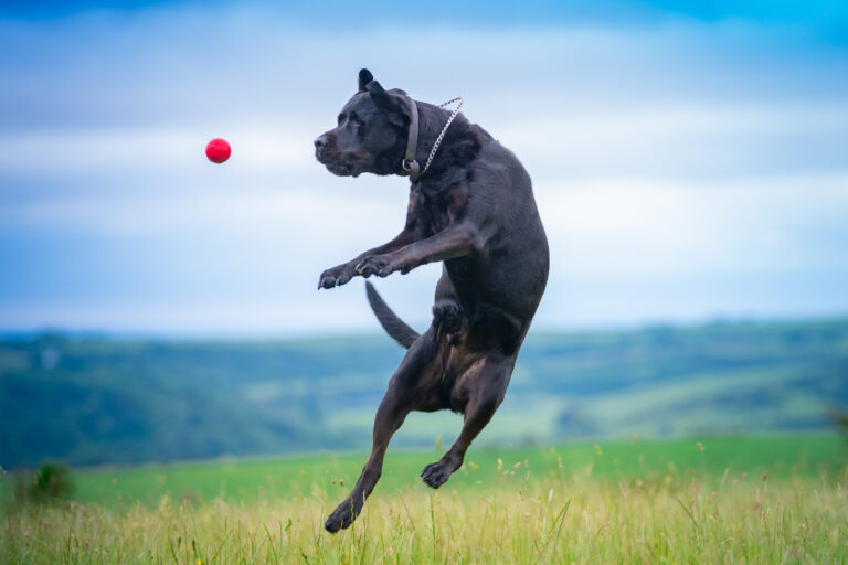 2207 0058b253a297194486635f6ae9f70cbf 1 768x512