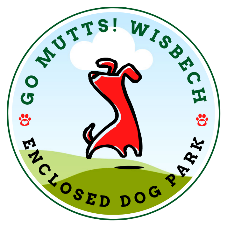 2210 ac303e57dd6233984e604016697ed576 1 768x768