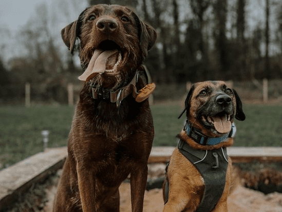 2212 46a29a66d431e6243260fcc9c848264d 1