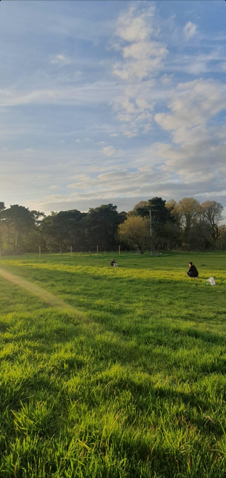 2214 5f12bb87c775a91962d7ac6adfbcf693 1 768x1621