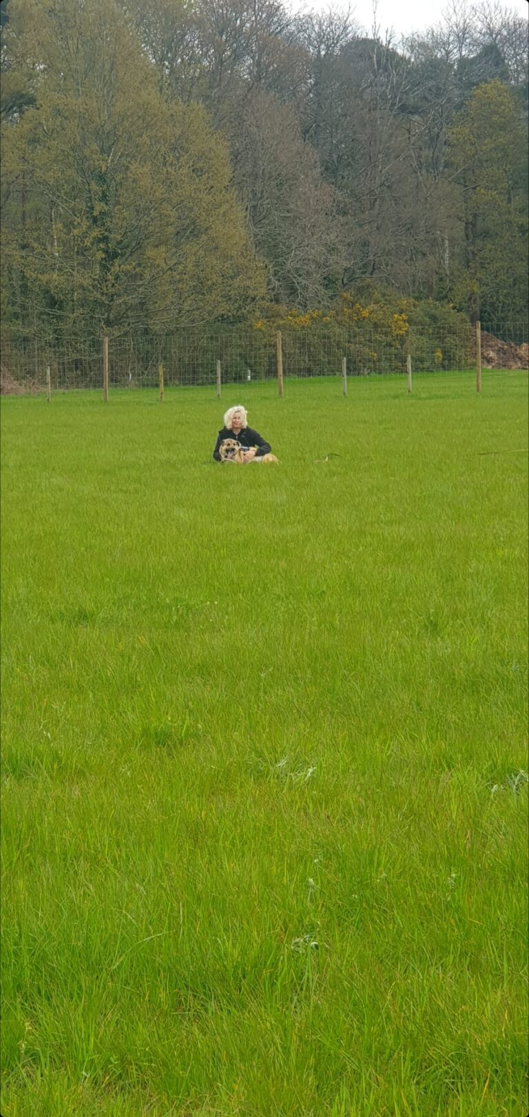 2214 656913bc5cb79e5a2d69c74a58d38b71 1 768x1621