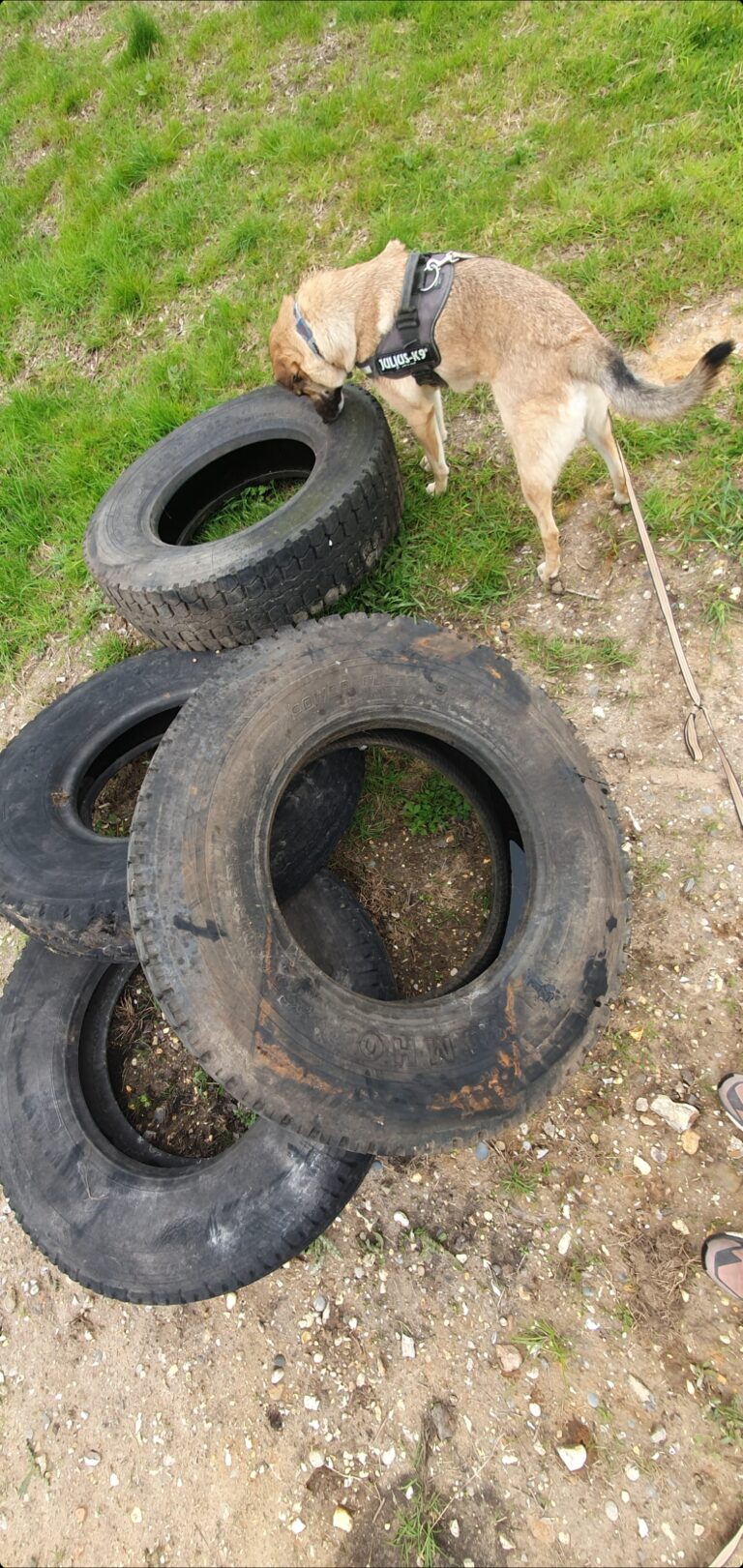 2214 7b2b21648543b2192f2d046ae97c4044 1 768x1621