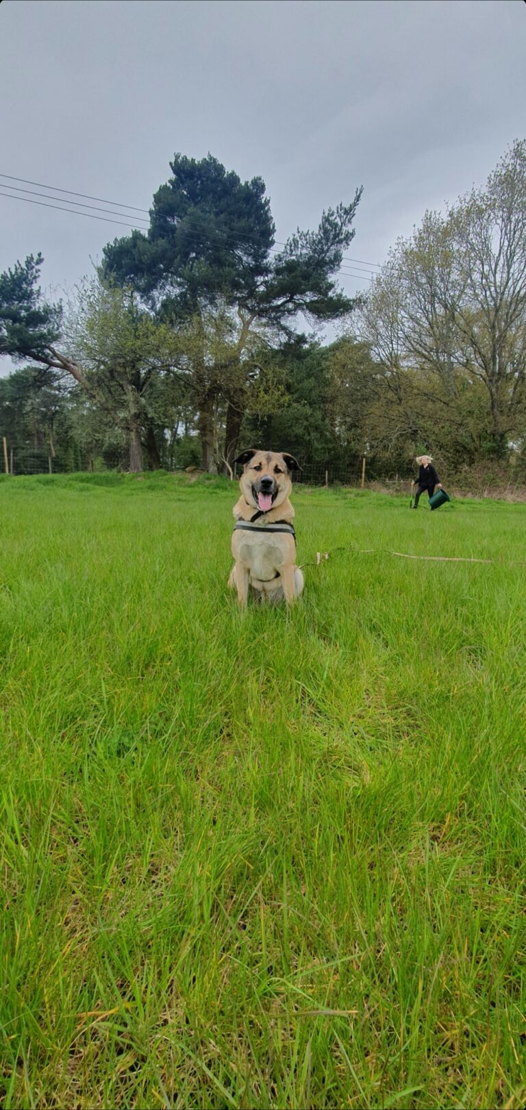 2214 7e0cccce7e4e879c8e747f1391a082da 1 768x1621