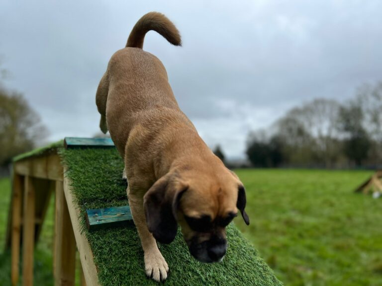 2215 21e2c93faf7307170c5b63759aa7c58b 1 768x576