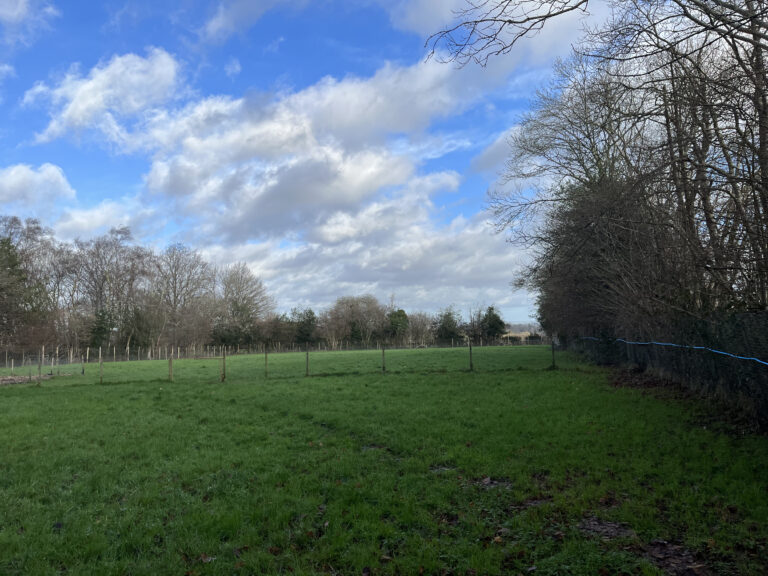 2215 3e529fa9f834f7a92e0d36c7a4b63152 1 768x576