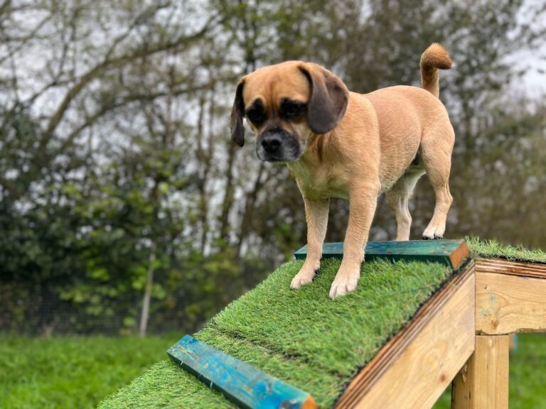 2215 3f0bfc1c15a912e6f984e605305a8e33 1 768x576