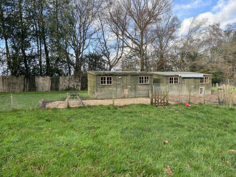 2215 6e1a20c5b1ca0c43054e3fbe35baf761 1 768x576