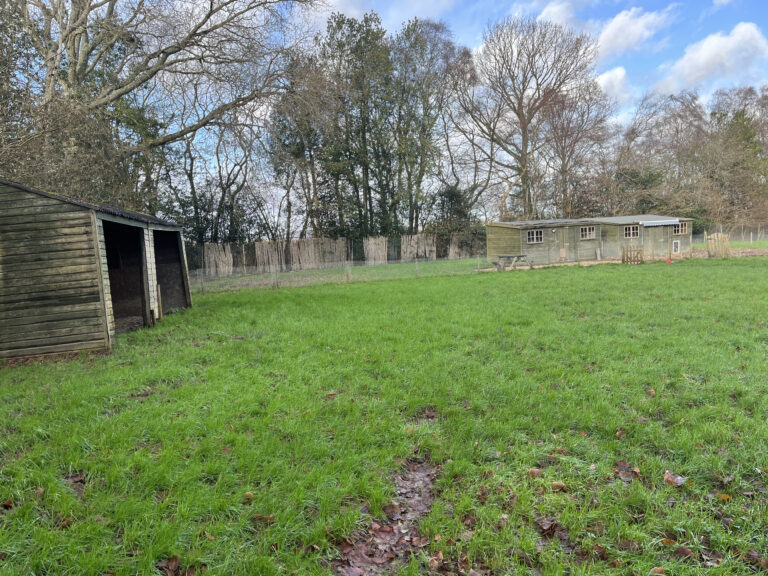 2215 acbe781b3c93a60361c46c8d72f0e73a 1 768x576