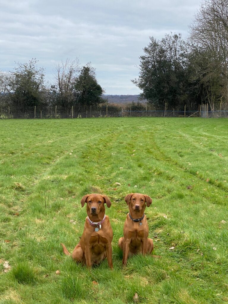 2215 b529553ce590faac7404872f272f9977 1 768x1024