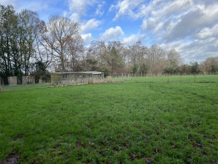 2215 bf6b481a54d946f46a5192a1fbc218a7 1 768x576