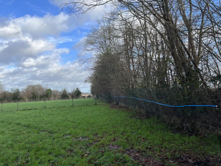 2215 ec4af7ec75de7aebab5e515ef583c010 1 scaled 768x576