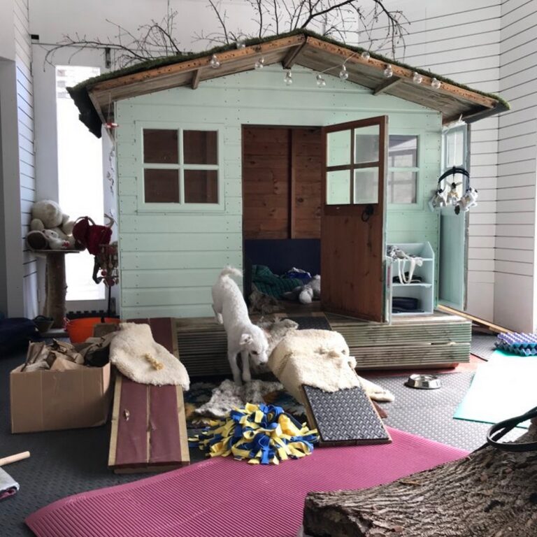 2216 0dee2cae49eccb730590b8224276edf5 1 768x768