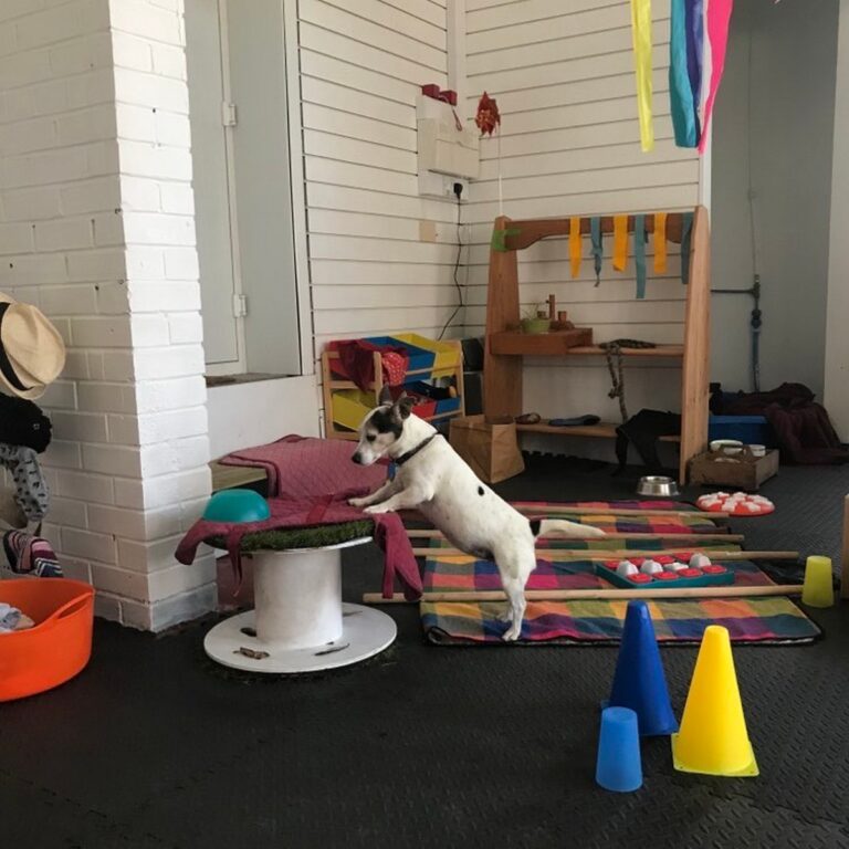 2216 1b6338ee084d88c48fac3ddae811352c 1 768x768