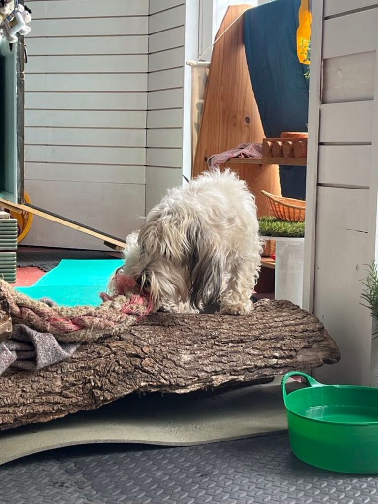 2216 1bad828cc2c855039a09e16ac8da5df2 1 768x1024