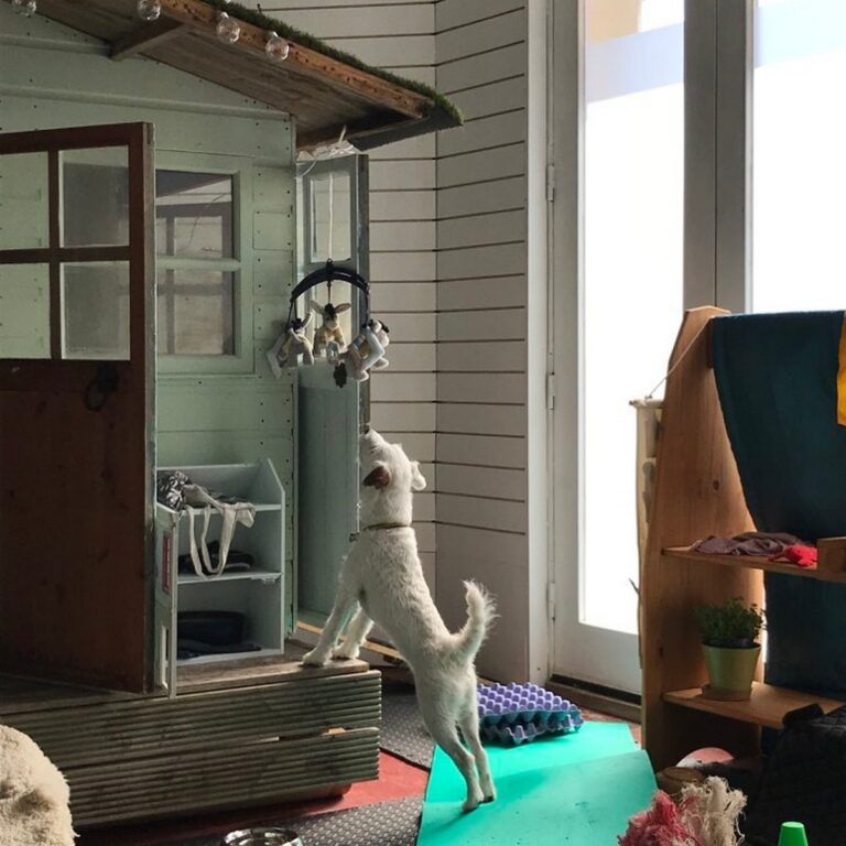 2216 208ebf7d8733a49249e25aee430e6630 1 768x768