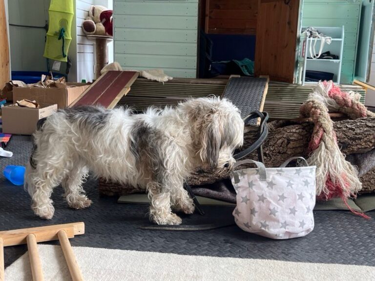 2216 e40756909e55a22c267fbf73814f6ed7 1 768x576