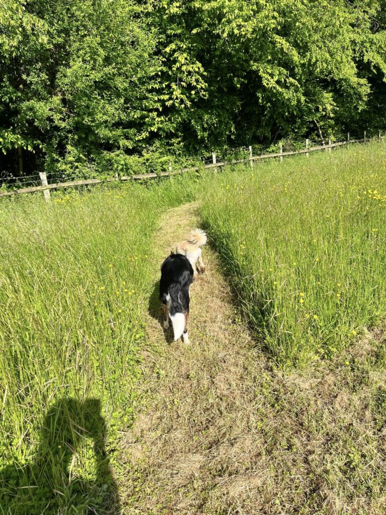 2218 3bde159e206bf909a3c79f48365323fa 1 768x1024