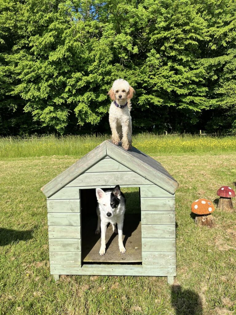 2218 4ad1c8043dbabe7131e1c09185198524 1 768x1024