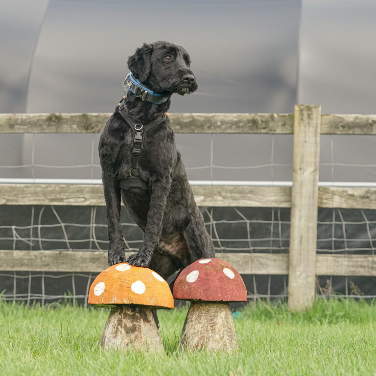 2218 733ee1d90835ce5ac22230ac1c619145 1 768x768