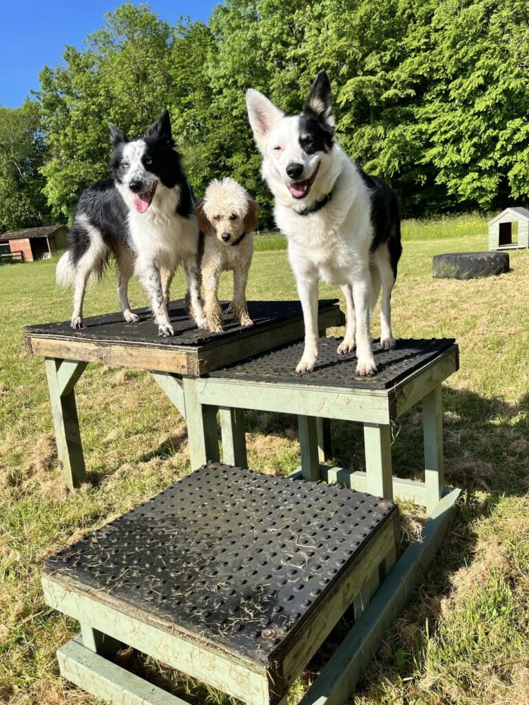 2218 872d2a580d59629aa82f4b82602faf37 1 768x1024