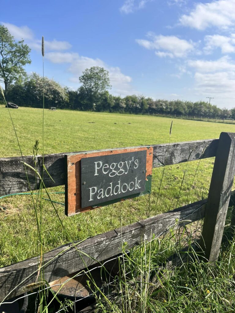 2218 b05fe96a1fff6d70df68d0783fca34e6 1 768x1024