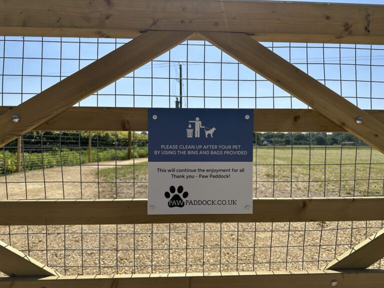 2220 5cf33b7d73653ffbbfecdcbf062b6b33 1 scaled 768x576