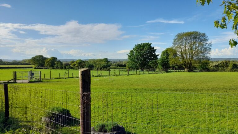 2221 56fc4cba542f7243394f95c4efc6921b 1 scaled 768x432