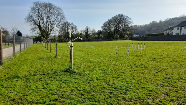 2221 79c5295d84f9be2b0299f950d90884f0 1 768x432