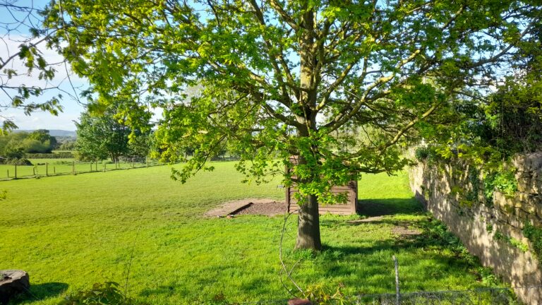 2221 a704f1591c0d2d4b8624c7fe3fadd1b3 1 768x432