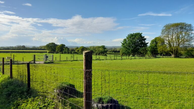 2221 f33512521efd7b451ed256fc6349bbed 1 768x432