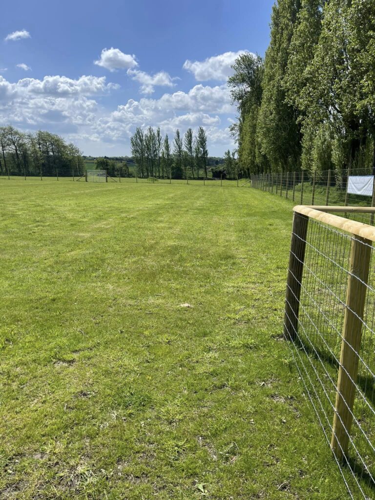 2222 2147d779f117e6abeea9058c7fd79c21 1 768x1024