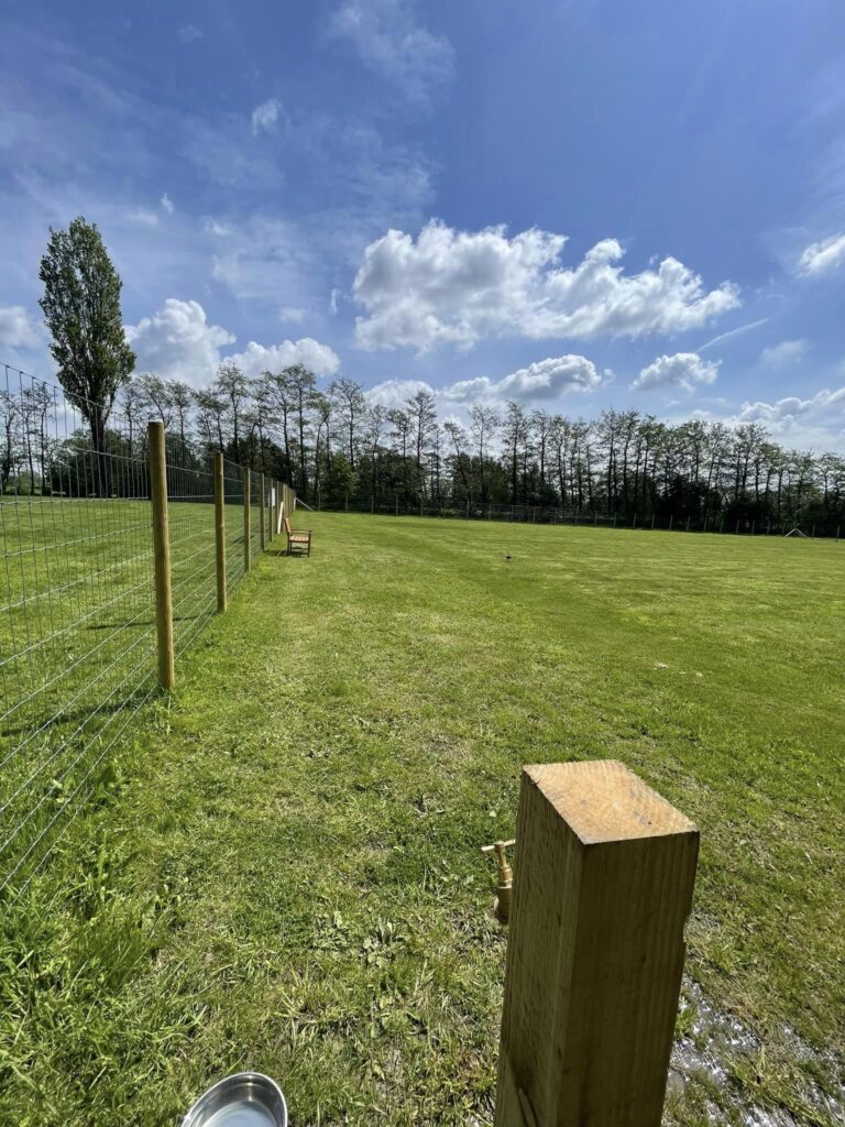 2222 242975fad28fd60ebd40052676696604 1 768x1024