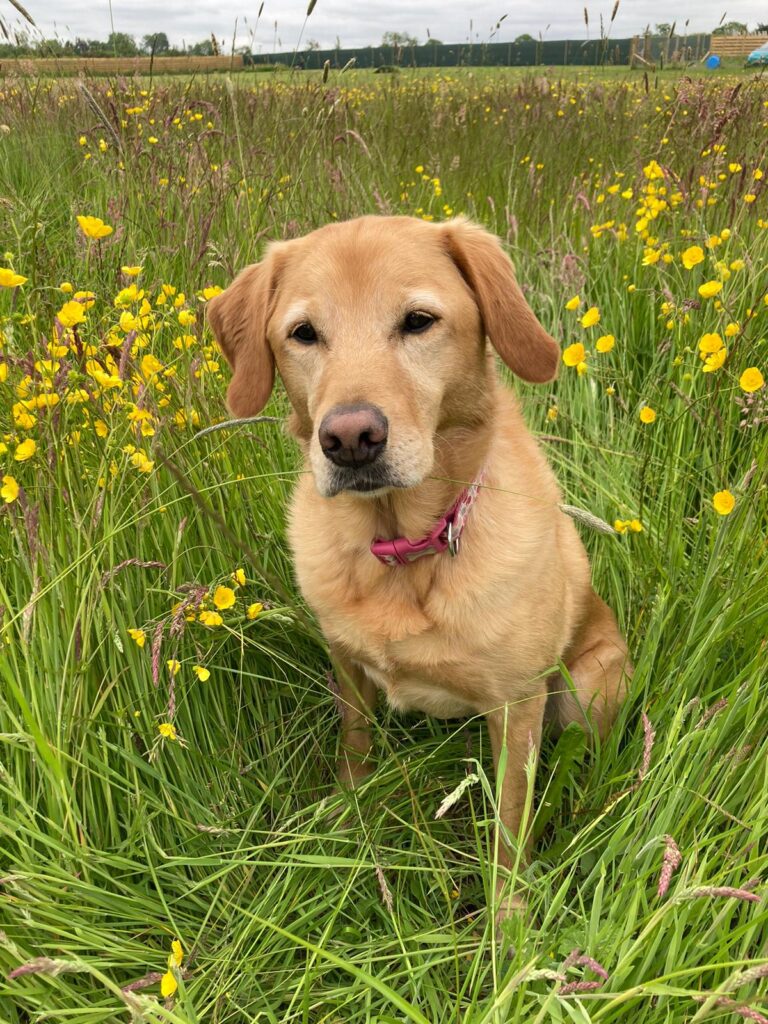 2223 0fc3c07bf178c52e82614feb09236740 1 768x1024