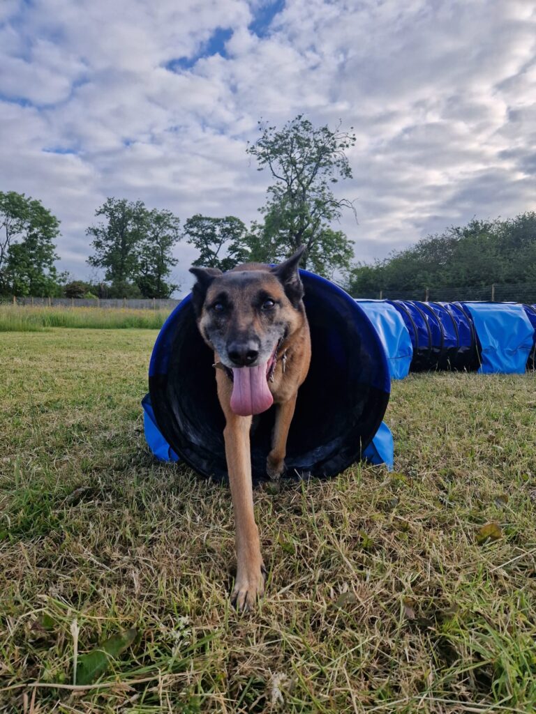 2223 2d05d2940db862c03b8bee88459f3947 1 768x1024