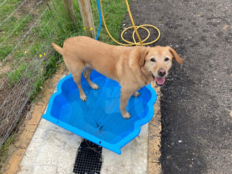 2223 331e01dc5d8e1c07b65961c0b5a39315 1 768x576