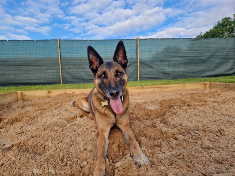 2223 830bb2191f8b7762ba6781e72b48c481 1 768x576