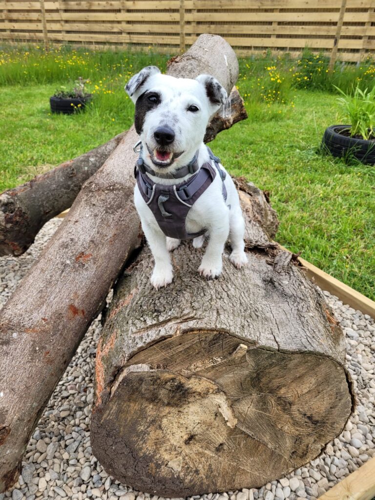 2223 d3fa80eb0b52fbd6c04cfa43f56f8295 1 768x1024