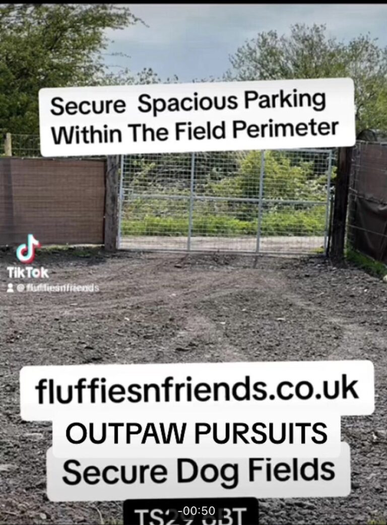 2224 582d2eb1ea0c2f345667f2d4a2f079e3 1 768x1042