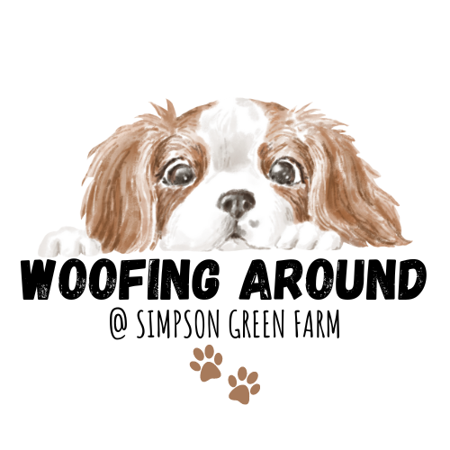 2227 2926125c3584ea256f314496fc5f2266 1