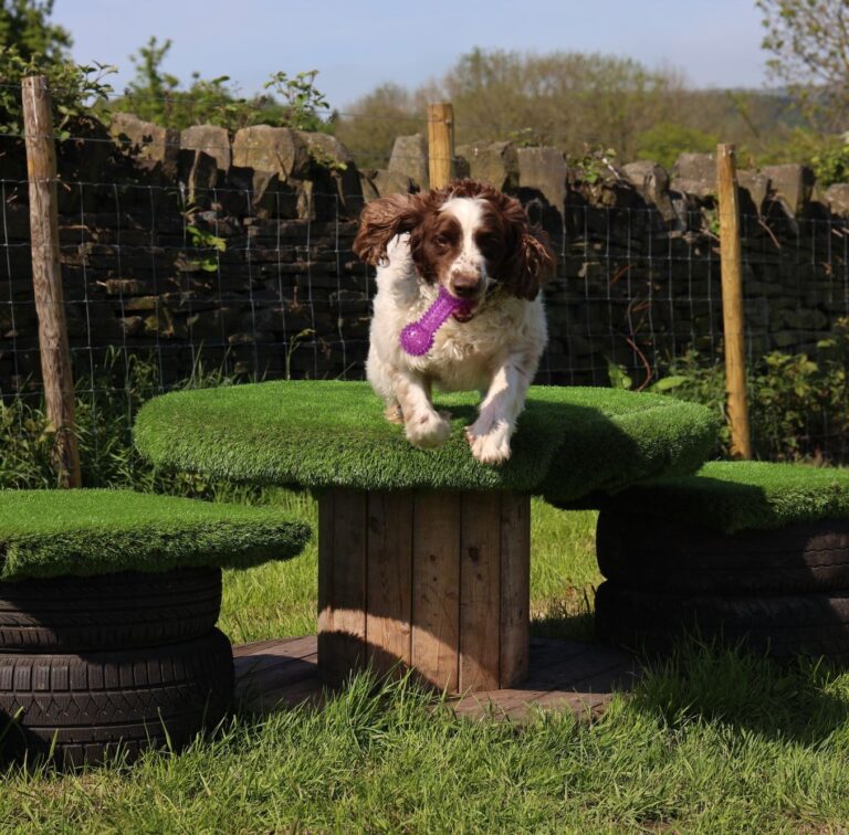 2227 59e99419acfbef897c6afa7573ea1e2a 1 768x756