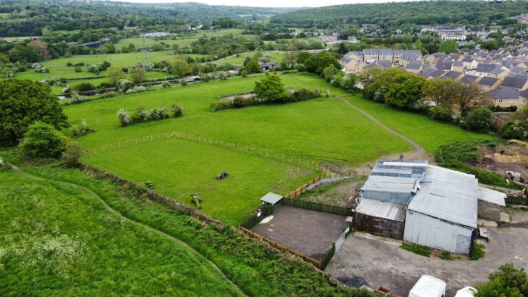 2227 6b74645e1c4fc56066803f8c4bf9840e 1 768x432