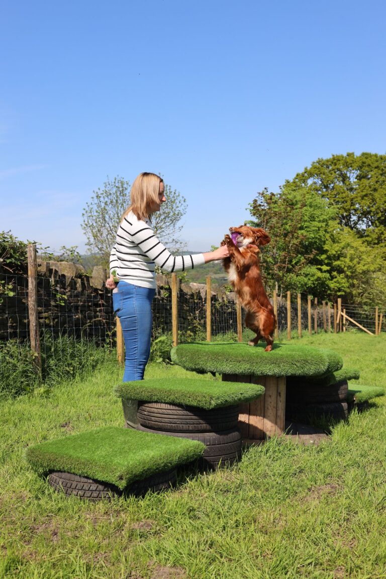 2227 6c45090a6653479de71f2ea0f1e65744 1 768x1151