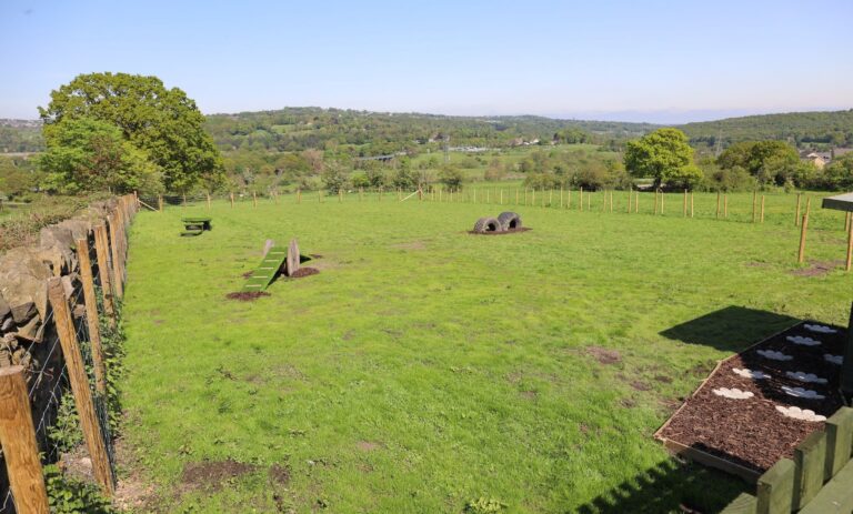 2227 80038c2812a7b19469f67cfd3c661505 1 768x463