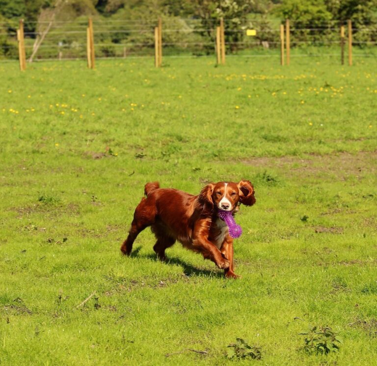 2227 be3cbfd5b2f351b698bb090beee014a2 1 768x746