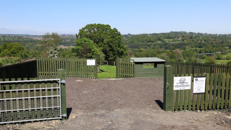 2227 c790468a7664663de037705f1b865349 1 768x434