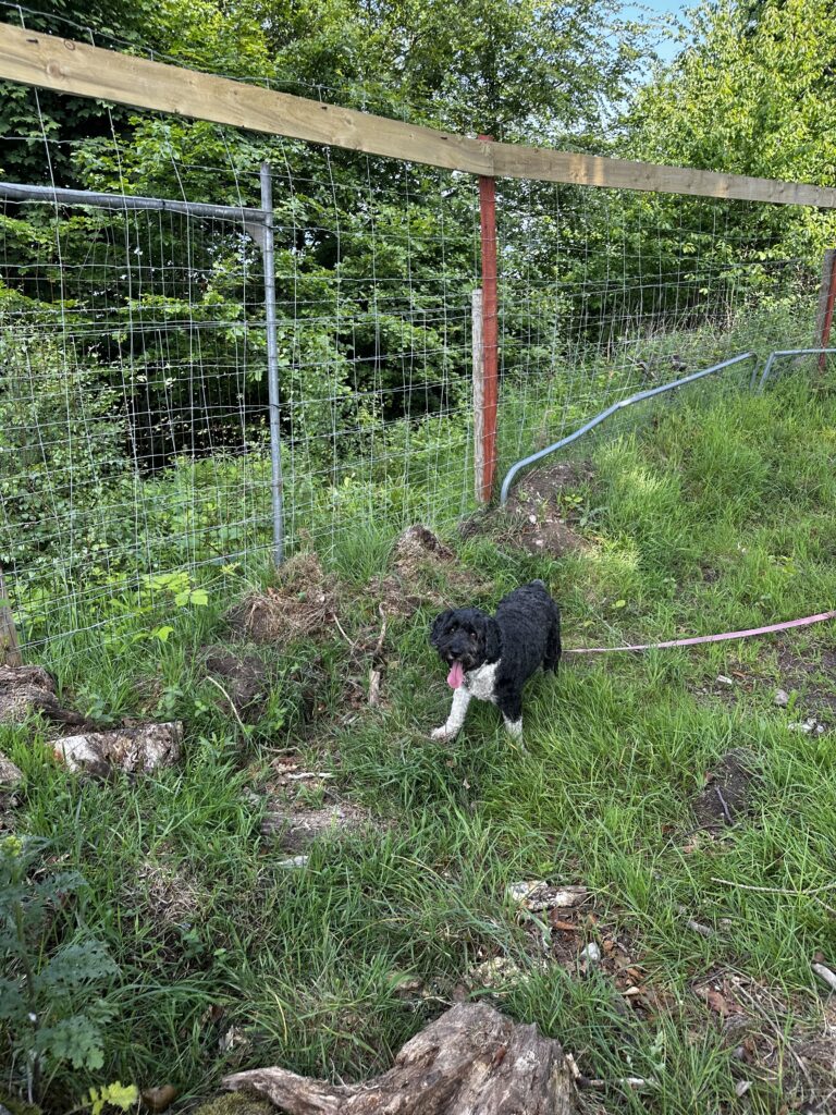 2228 156d04b49cac87d19a37fbf61923c61a 1 768x1024