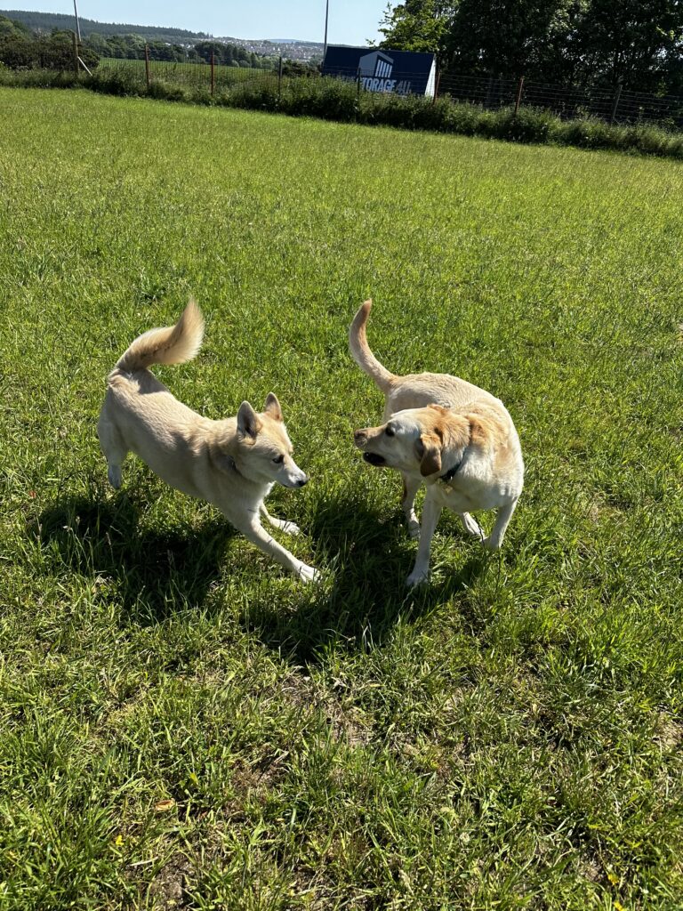 2228 2aebf50788ba940e7163e99fe7fdd42a 1 768x1024