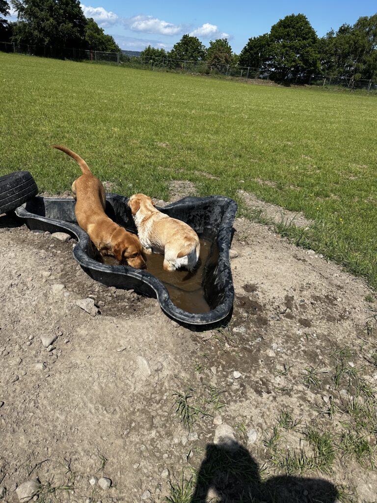 2228 3e63f3957527d23aae6c9e486950ce9a 1 768x1024